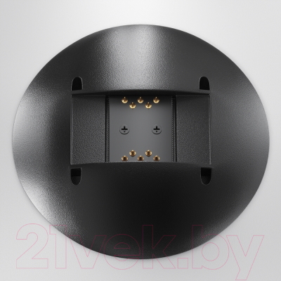 Потолочный светильник Maytoni Campana TR127B-12W3K-W