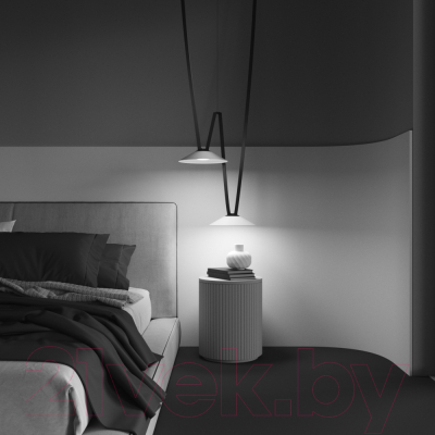 Потолочный светильник Maytoni Campana TR127B-12W4K-W