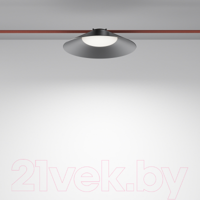 Потолочный светильник Maytoni Campana TR127B-12W4K-B