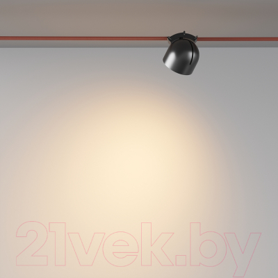 Потолочный светильник Maytoni Cup TR124B-12W3K-B