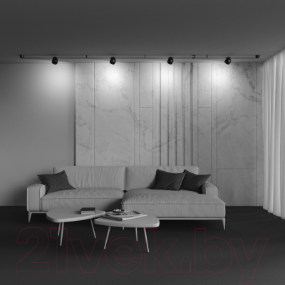 Потолочный светильник Maytoni Cup TR124B-12W3K-B