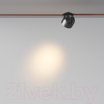 Потолочный светильник Maytoni Cup TR124B-12W3K-M-B