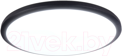 Потолочный светильник Ambrella FZ1234 BK - фото