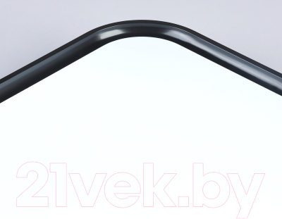 Потолочный светильник Ambrella FZ1262 BK