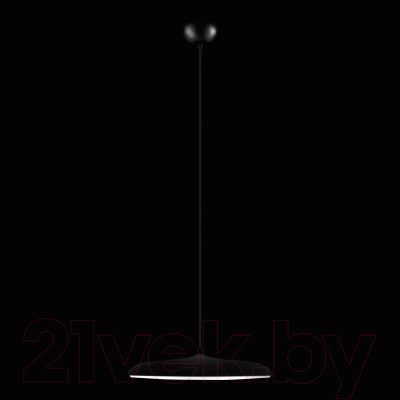 Потолочный светильник Loftit Plato 10119