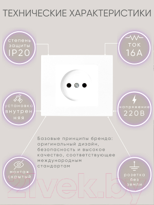Розетка Ovivo 600-000301-215