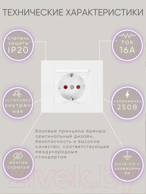 Розетка Ovivo 600-000301-243