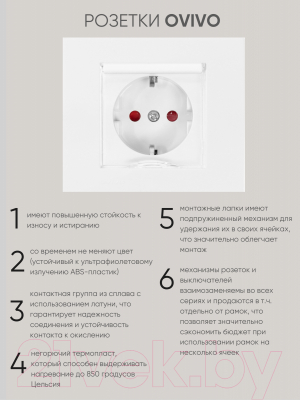 Розетка Ovivo 600-000301-243