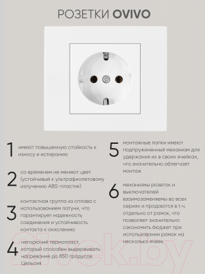 Розетка Ovivo 600-000301-217