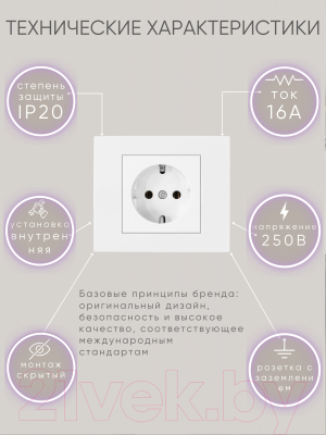 Розетка Ovivo 600-000301-217