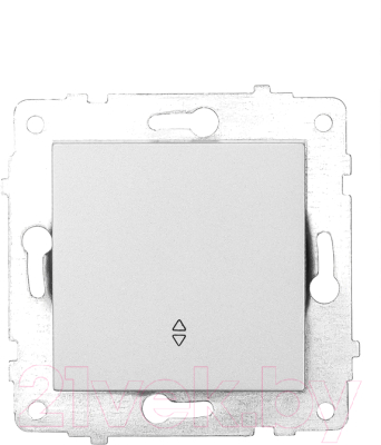 Выключатель Ovivo 600-000210-209 - фото