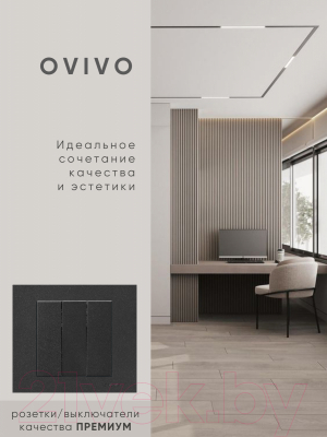 Выключатель Ovivo 600-000217-254