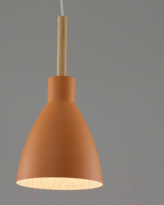 Потолочный светильник Moderli Toni / V10650-1P