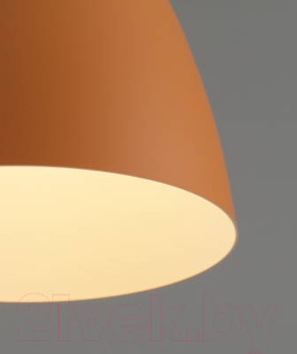 Потолочный светильник Moderli Toni / V10650-1P