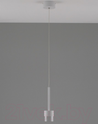 Потолочный светильник Moderli Self / V10852-PL