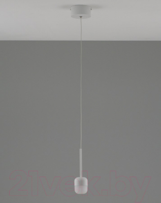 Потолочный светильник Moderli Drop / V10861-PL