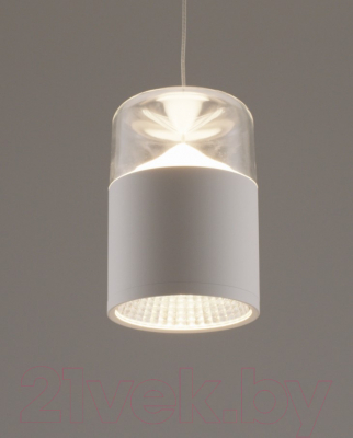 Потолочный светильник Moderli Rinna / V10865-PL