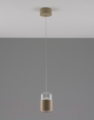 Потолочный светильник Moderli Rinna / V10867-PL