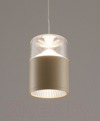 Потолочный светильник Moderli Rinna / V10867-PL