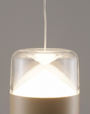 Потолочный светильник Moderli Rinna / V10867-PL