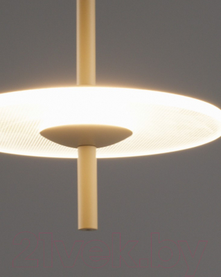 Потолочный светильник Moderli Ella / V10879-PL