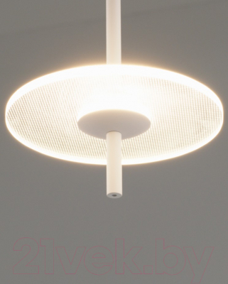 Потолочный светильник Moderli Ella / V10880-PL