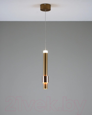 Потолочный светильник Moderli Elli / V10882-PL