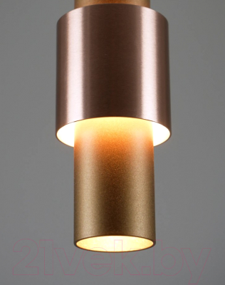 Потолочный светильник Moderli Elli / V10882-PL