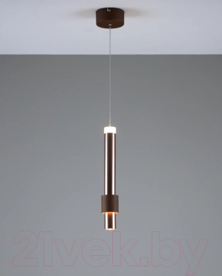 Потолочный светильник Moderli Elli / V10883-PL