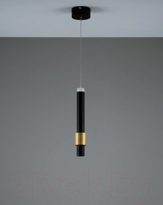 Потолочный светильник Moderli Elli / V10884-PL