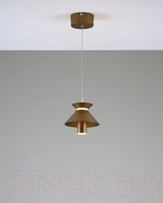 Потолочный светильник Moderli Ori / V10887-PL