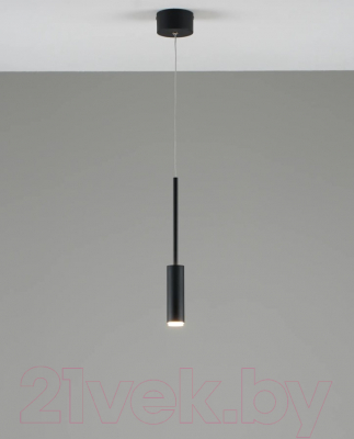 Потолочный светильник Moderli Rin / V10899-PL