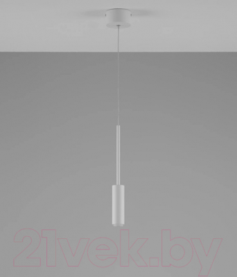 Потолочный светильник Moderli Rin / V10900-PL