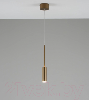 Потолочный светильник Moderli Rin / V10901-PL