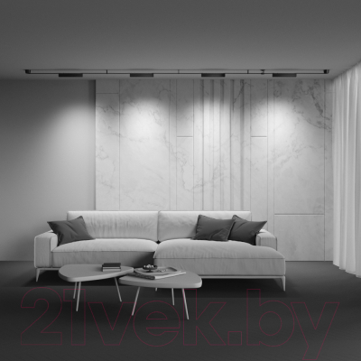 Потолочный светильник Maytoni Points TR128B-12W3K-M-B