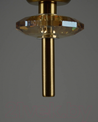 Потолочный светильник Moderli Tale / V10910-PL