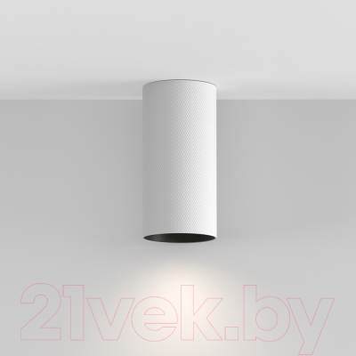 Потолочный светильник Maytoni Artisan C080CL-01-GU10-W