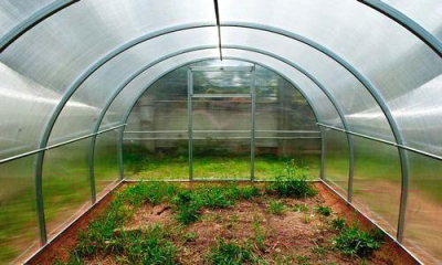 Теплица Садовод Элит-40 0.42кг/м2