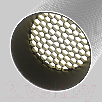 Точечный светильник Maytoni Artisan C081CL-01-GU10-W