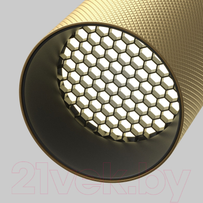 Точечный светильник Maytoni Artisan C081CL-01-GU10-MG