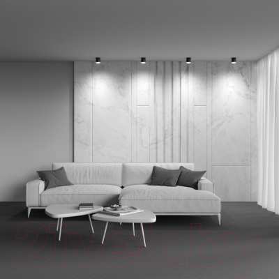 Потолочный светильник Maytoni Polar C088CL-GX53-B