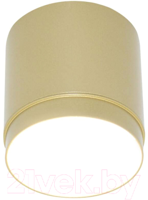 Потолочный светильник Maytoni Polar C088CL-GX53-MG