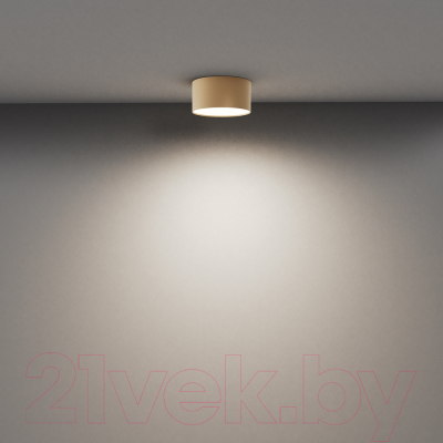 Точечный светильник Maytoni Zon C032CL-12W4K-RD-MG