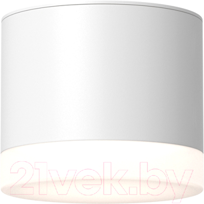 Потолочный светильник Maytoni Pauline C087CL-GX53-W - фото