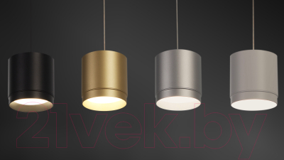 Потолочный светильник Maytoni Polar P088PL-GX53-MG