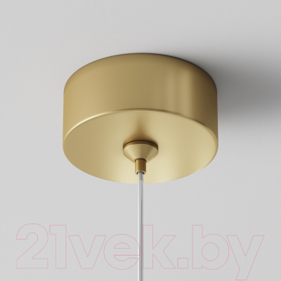 Потолочный светильник Maytoni Polar P088PL-GX53-MG