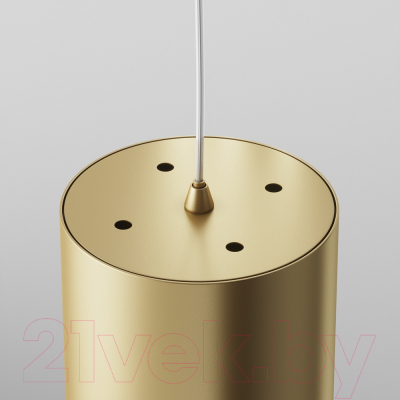 Потолочный светильник Maytoni Polar P088PL-GX53-MG