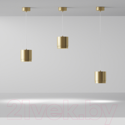 Потолочный светильник Maytoni Polar P088PL-GX53-MG