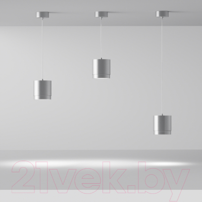 Потолочный светильник Maytoni Polar P088PL-GX53-S