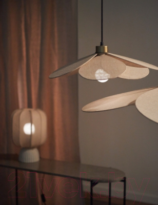 Потолочный светильник Bergenson Bjorn Kamille / BB0000579